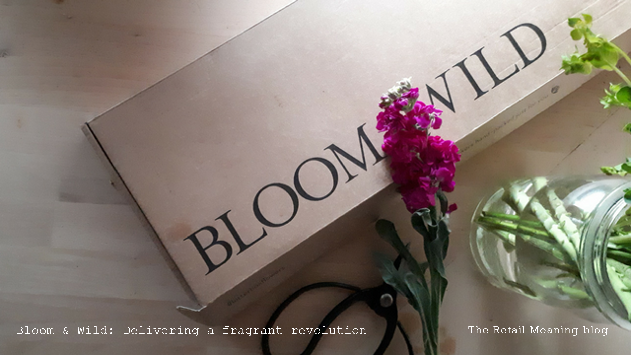 Bloom & Wild: Delivering a fragrant revolution